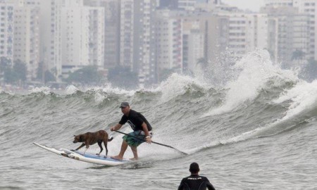 Parafina confirmado no Surf City Surf Dog