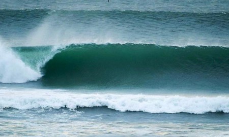 Primeiro evento virtual da Sell Surf terá surfistas do CT como juízes